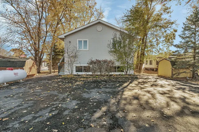 a view of a backyard with a tree