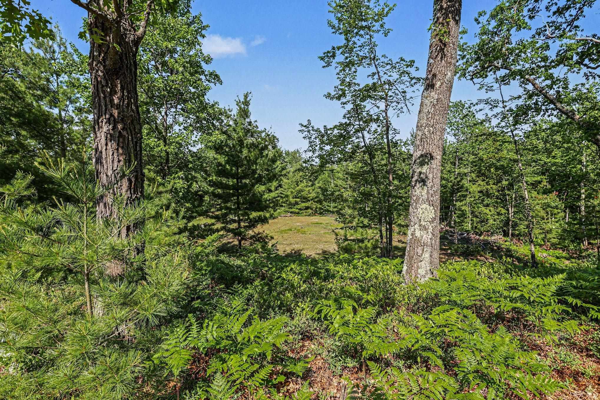 0 Fairview Road West Branch, MI 48661 - Photo 3 of 23