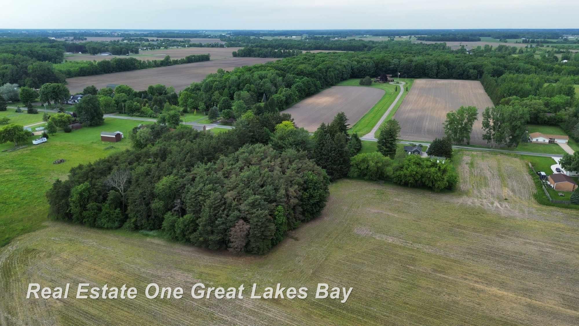 11299 Dice Road Freeland, MI 48623 - Photo 9 of 16