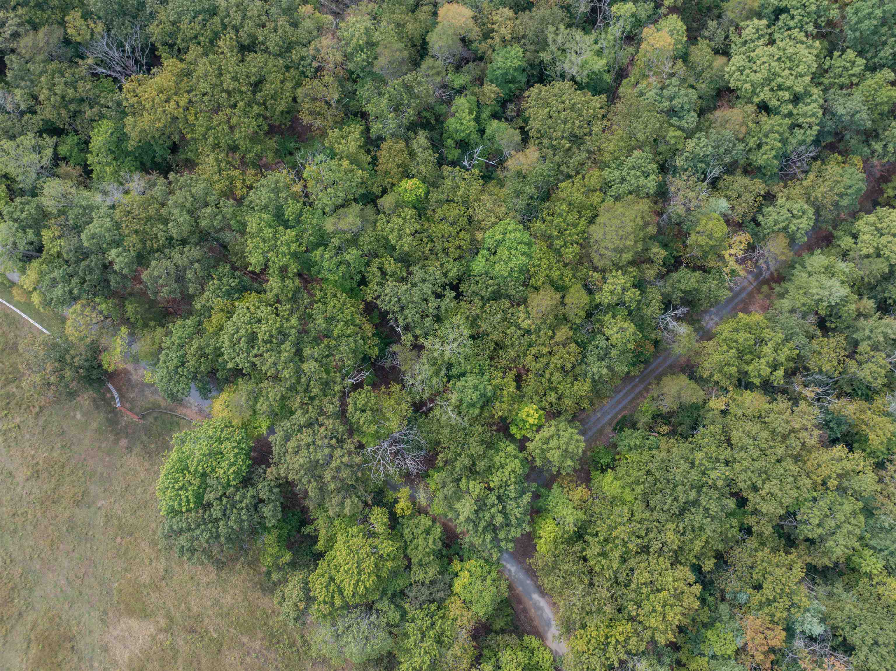 Tbd Jones Overlook Howardsville, VA 24562 - Photo 11 of 74 an aerial view of residential house with outdoor space and trees all around