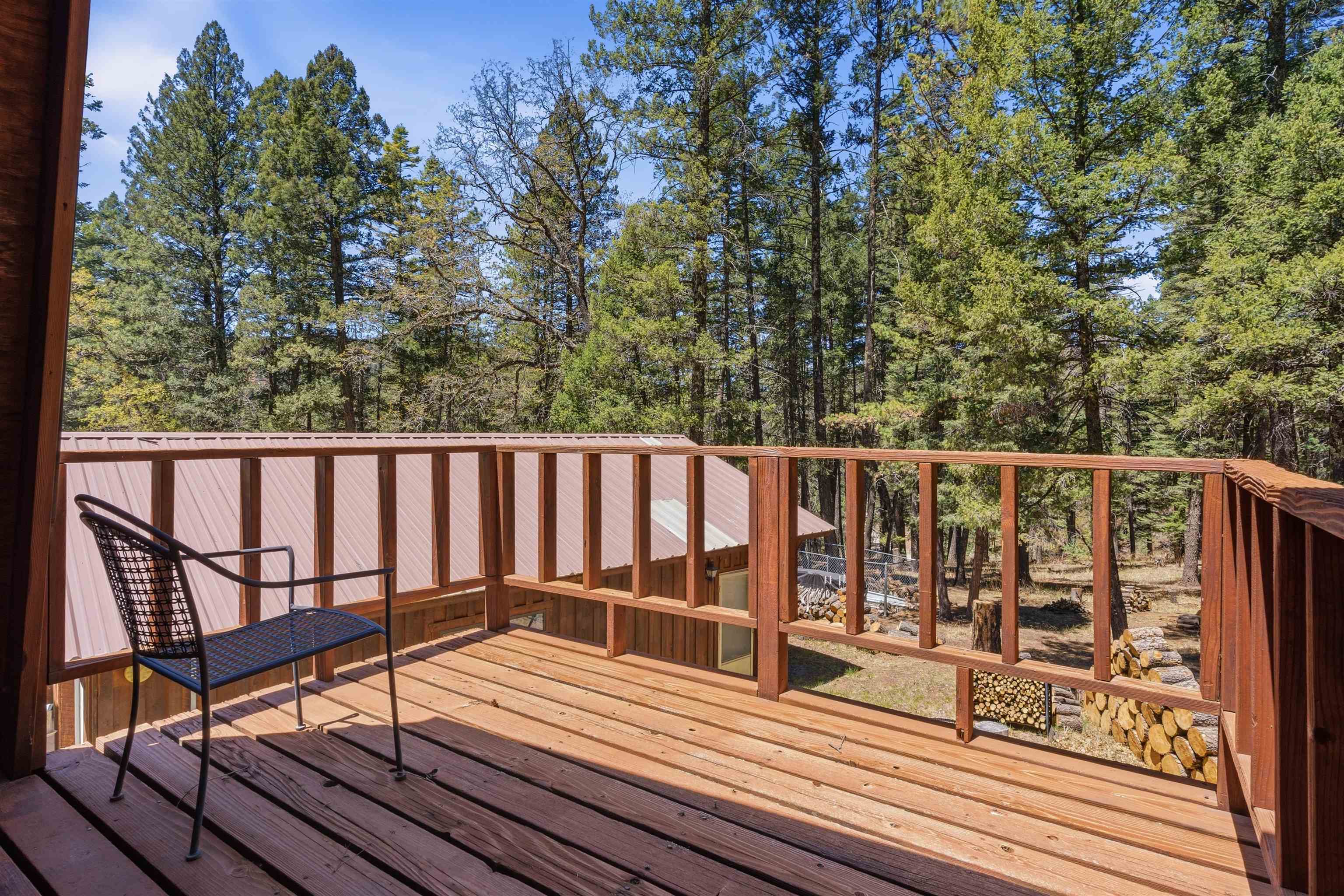 5 Bear Spring Road Cloudcroft, NM 88317 - Photo 32 of 50 Gallery Image 32