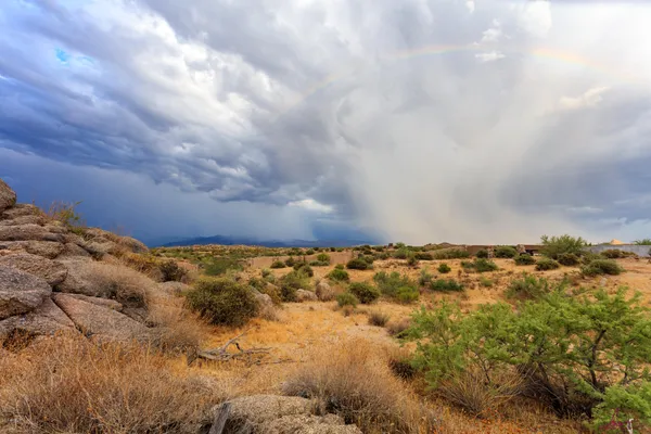 $11,676,000 | 26545 North 119th Place, Scottsdale, AZ 85255
