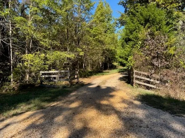 a view of back yard