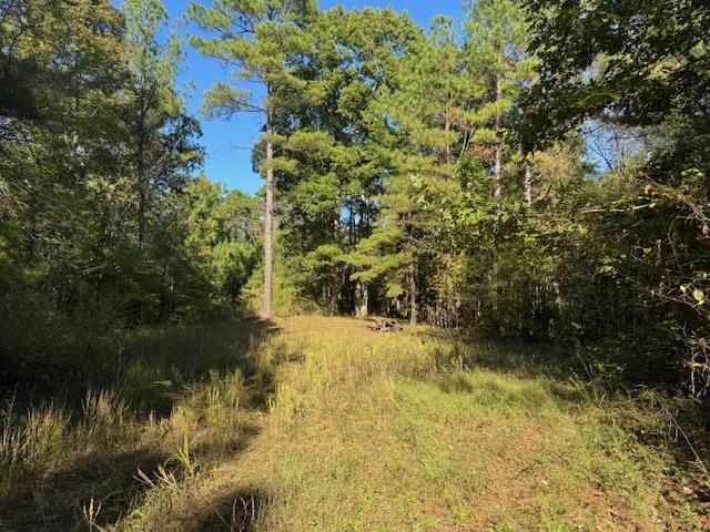 Walnut Grove Road Bolivar, TN 38008 - Photo 15 of 20