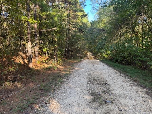 Walnut Grove Road Bolivar, TN 38008 - Photo 16 of 20 a view of a yard with large trees