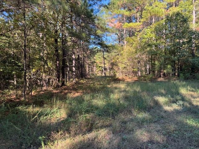 Walnut Grove Road Bolivar, TN 38008 - Photo 17 of 20 a view of lake with green space