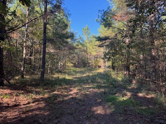 Walnut Grove Road Bolivar, TN 38008 - Photo 18 of 20 a view of a yard with large trees