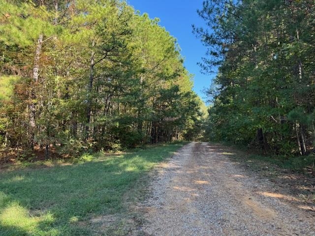Walnut Grove Road Bolivar, TN 38008 - Photo 3 of 20 a view of a forest with trees in the background