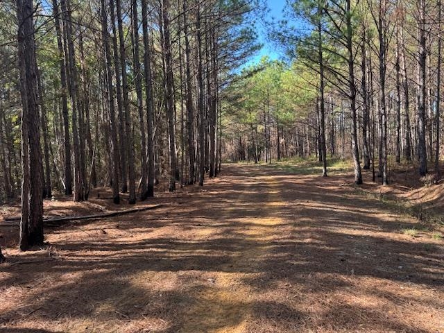 Walnut Grove Road Bolivar, TN 38008 - Photo 4 of 20 a view of a yard with large trees