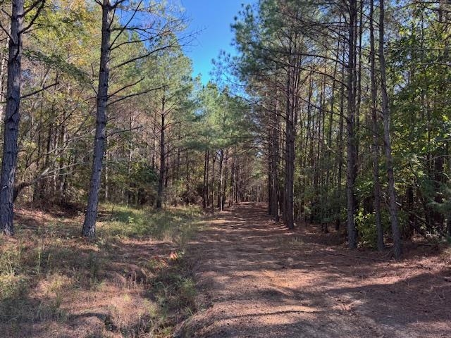 Walnut Grove Road Bolivar, TN 38008 - Photo 5 of 20 a view of outdoor space with trees