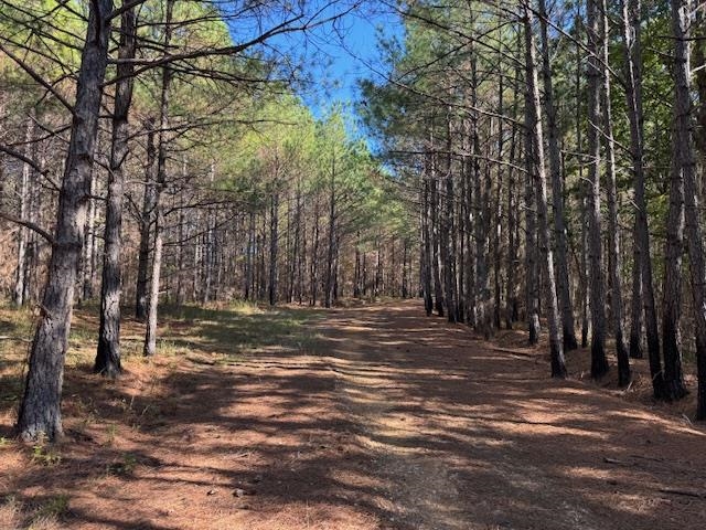Walnut Grove Road Bolivar, TN 38008 - Photo 6 of 20 a view of a yard with large trees