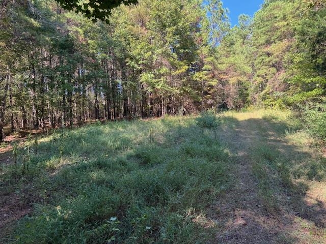 Walnut Grove Road Bolivar, TN 38008 - Photo 7 of 20 a big yard with lots of green space and deers