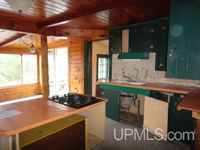 115 Sheltrow Road Crystal Falls, MI 49920 - Photo 16 of 28 Gallery Image 16