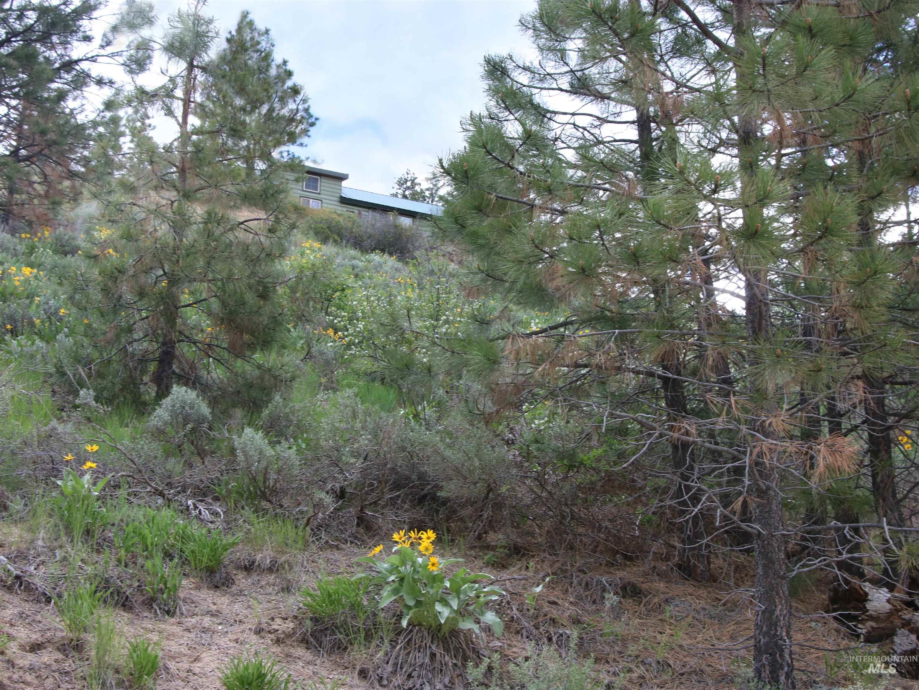 Tbd Strawberry Loop Mountain Home, ID 83647 - Photo 19 of 20