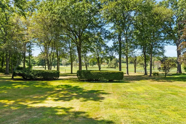 a view of a swimming pool with a big yard and large trees