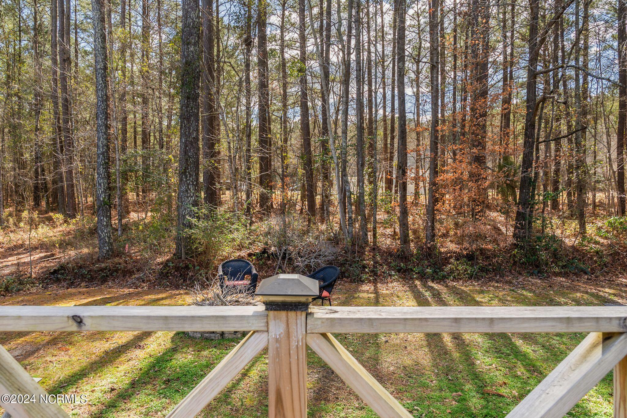 242 Shingle Brook Road New Bern, NC 28560 - Photo 32 of 49 Back - Deck