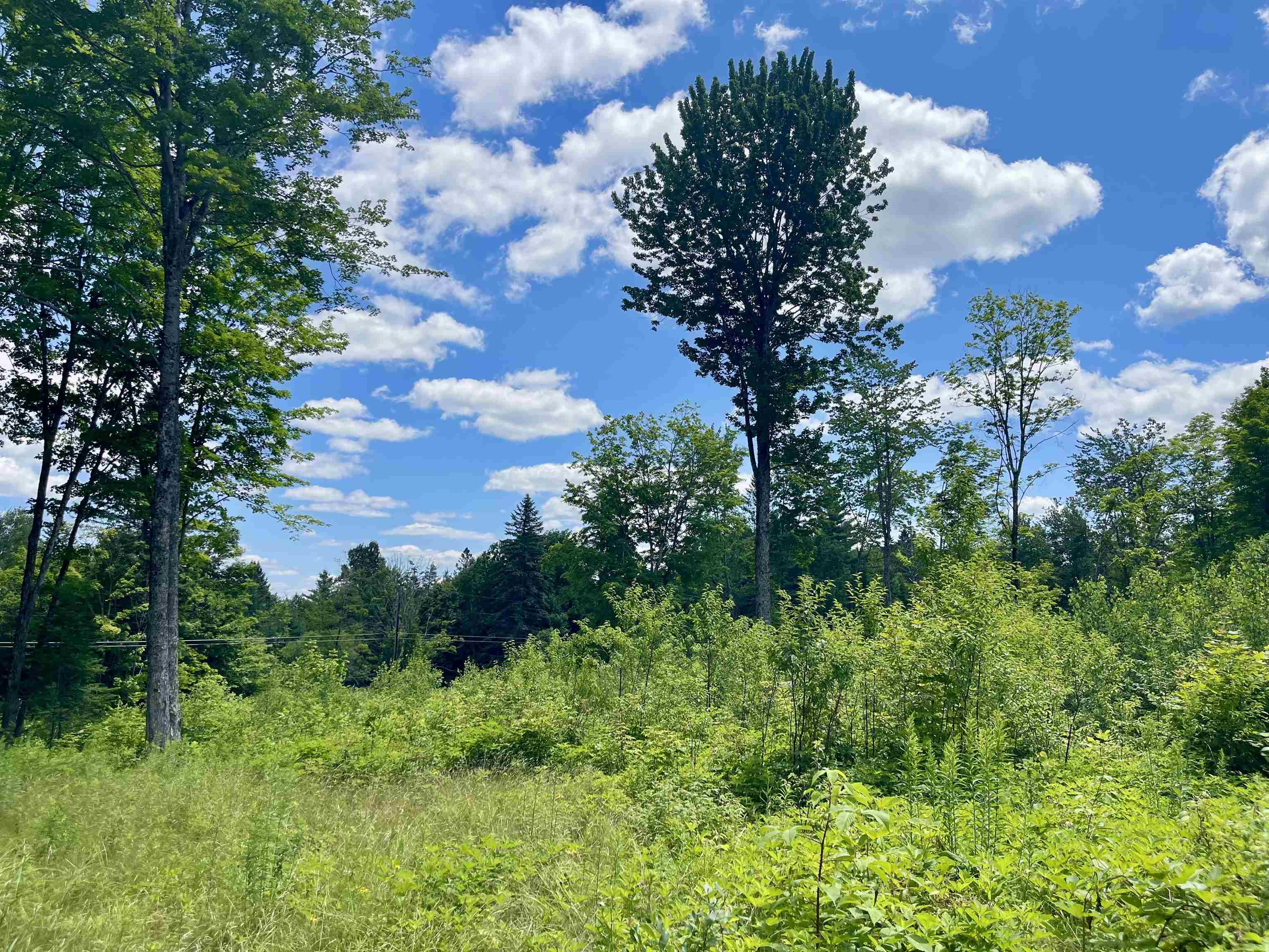 2209 Underpass Road Sutton, VT 05867 - Photo 2 of 5