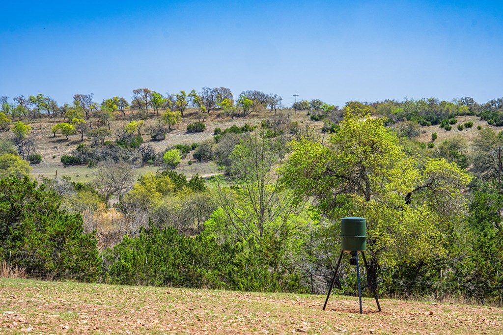 15744 South State Highway 16 Fredericksburg, TX 78624 - Photo 4 of 27
