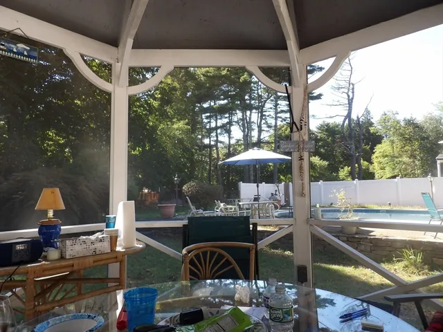 a view of a yard with plants and large trees