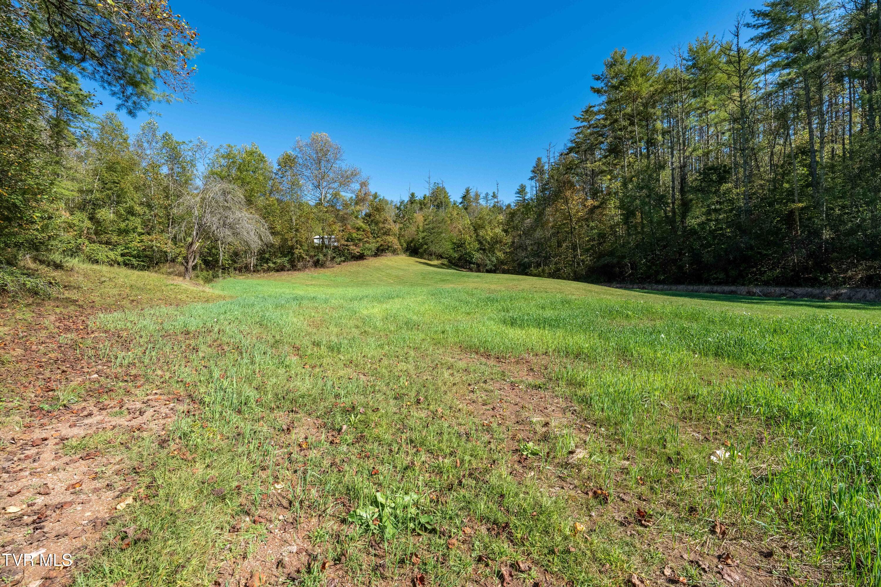 382 Lowell Stalcup Road Butler, TN 37640 - Photo 19 of 43 382 Lowell Stalcup Road (51 of 76)