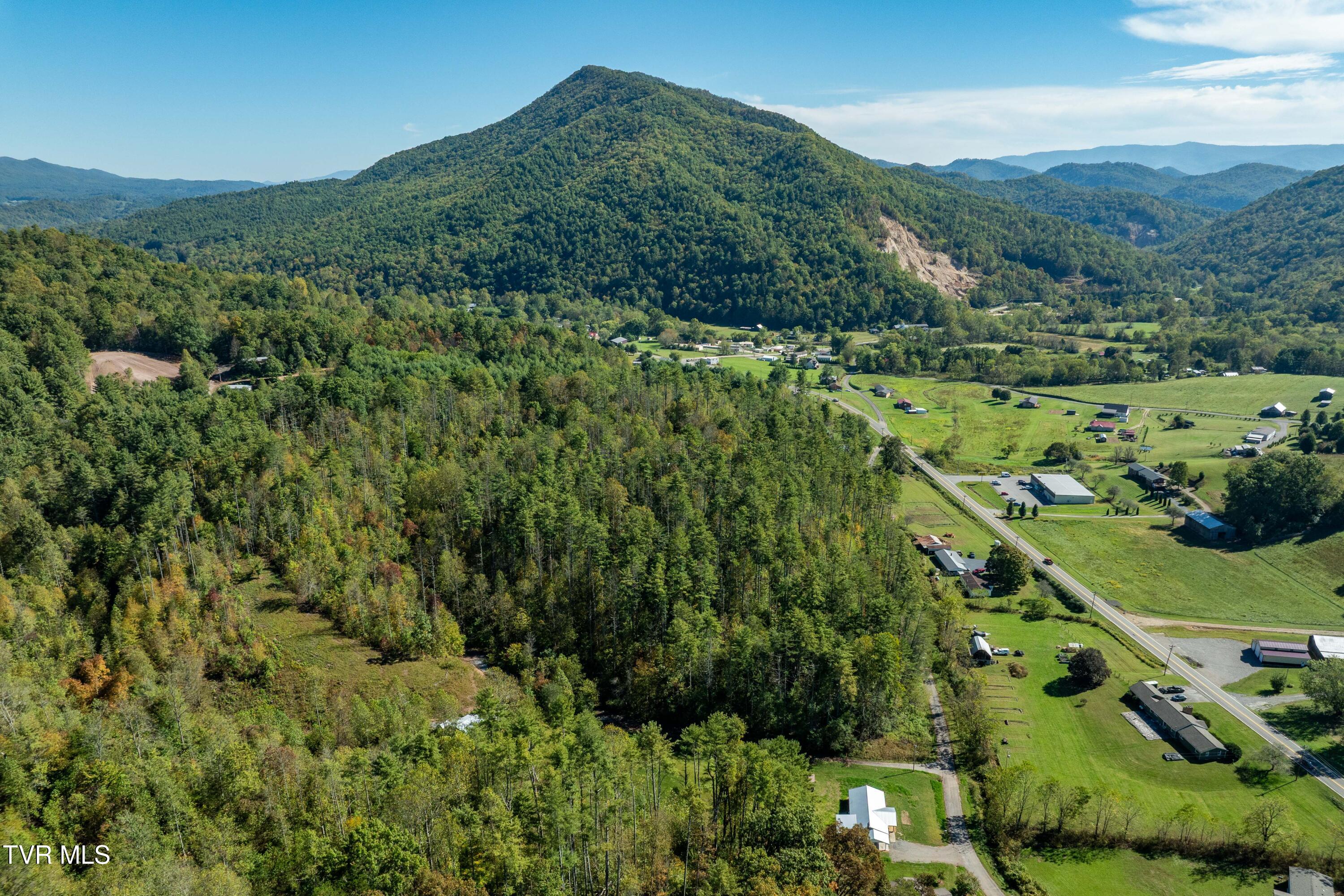 382 Lowell Stalcup Road Butler, TN 37640 - Photo 7 of 43 382 Lowell Stalcup Road (9 of 76)
