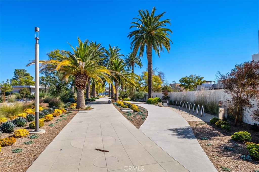 179 Follyhatch Irvine, CA 92618 - Photo 26 of 48 a view of a backyard with plants and palm tree