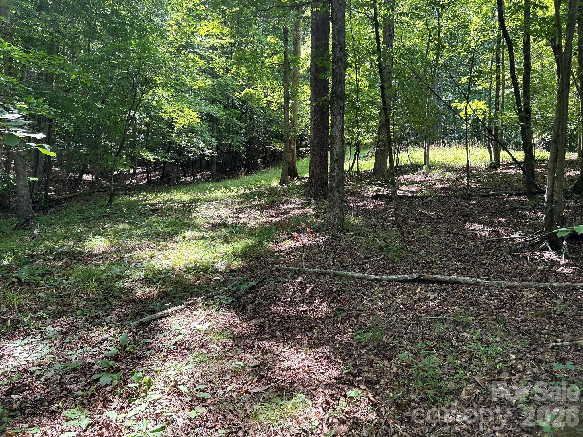 0 Wilderness Ridge, Unit 4 Rutherfordton, NC 28139 - Photo 6 of 11
