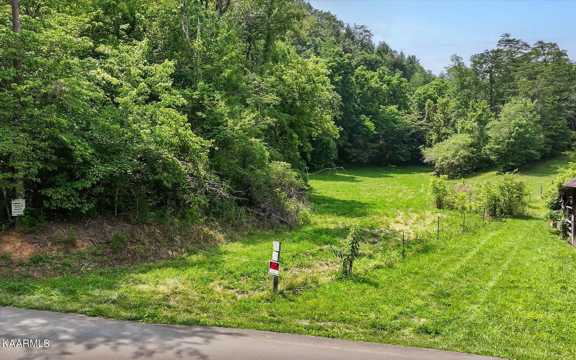 43.89ac Bogard Road, Cosby, TN 37722 Compass