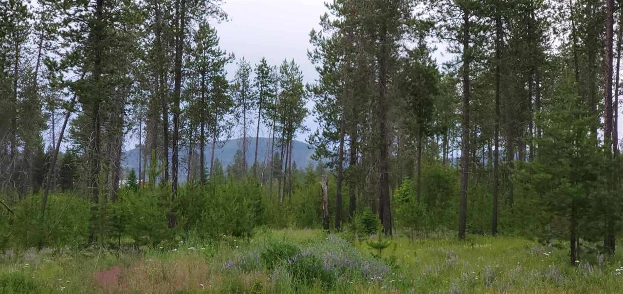12417 East Bridges Road Elk, WA 99009 - Photo 1 of 8