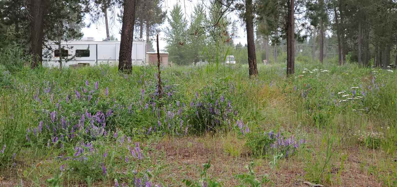 12417 East Bridges Road Elk, WA 99009 - Photo 3 of 8
