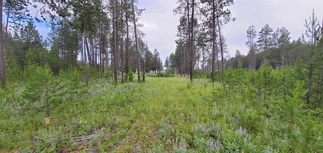 12417 East Bridges Road Elk, WA 99009 - Photo 8 of 8