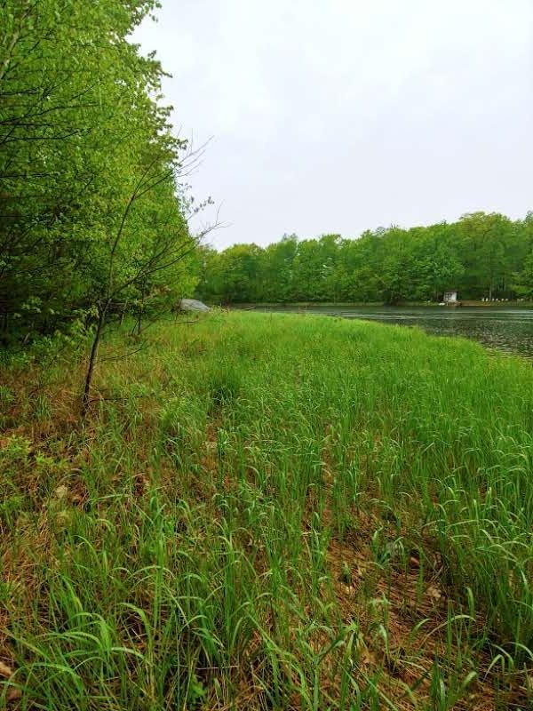 5 Shore Rd Summit Lake, Unit LOT 5 Summit Lake, WI 54485 - Photo 22 of 22 Gallery Image 22