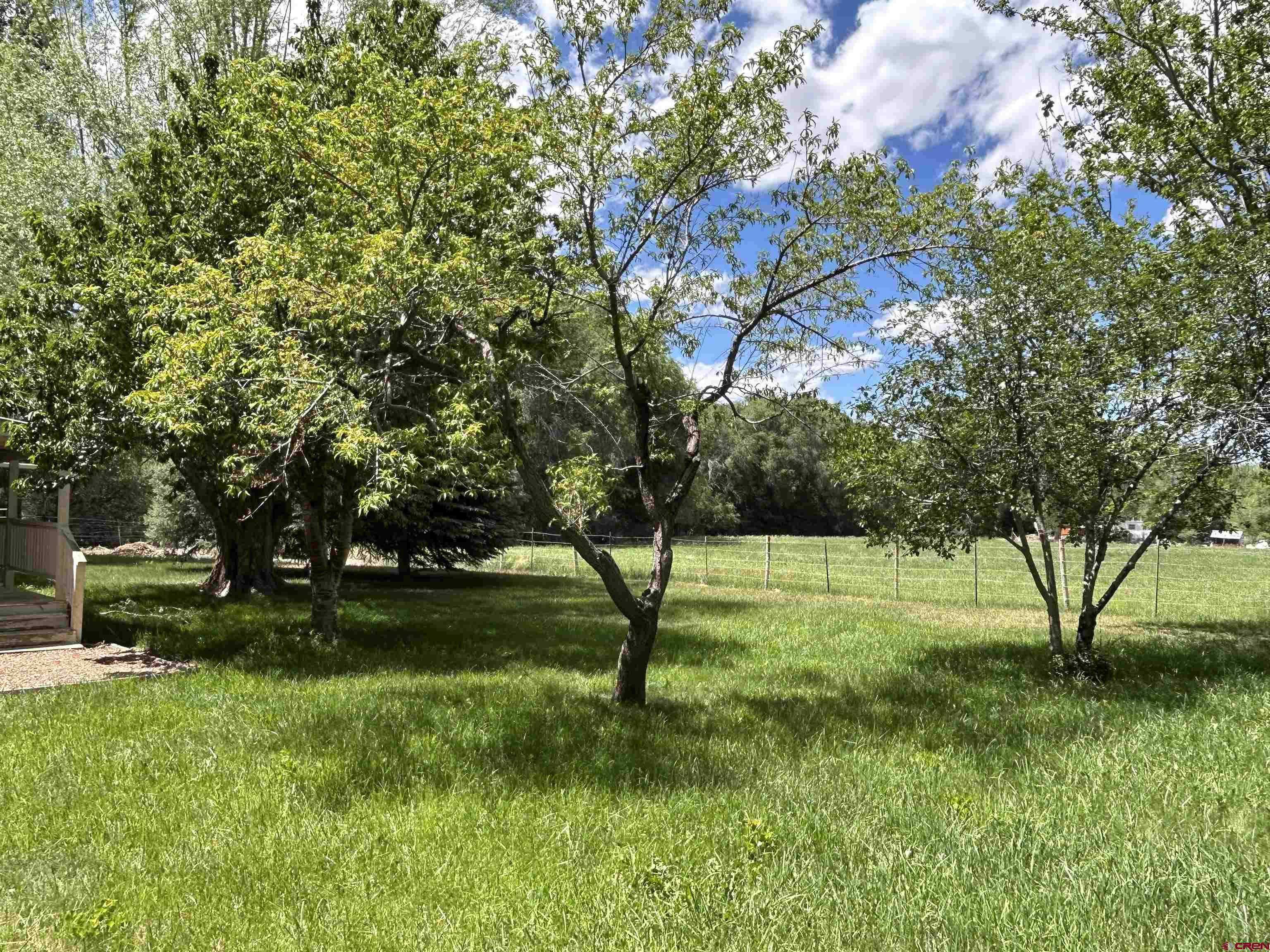 2259 1600th Road Delta, CO 81416 - Photo 25 of 36