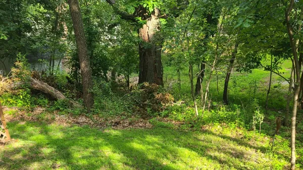 a view of outdoor space with seating area