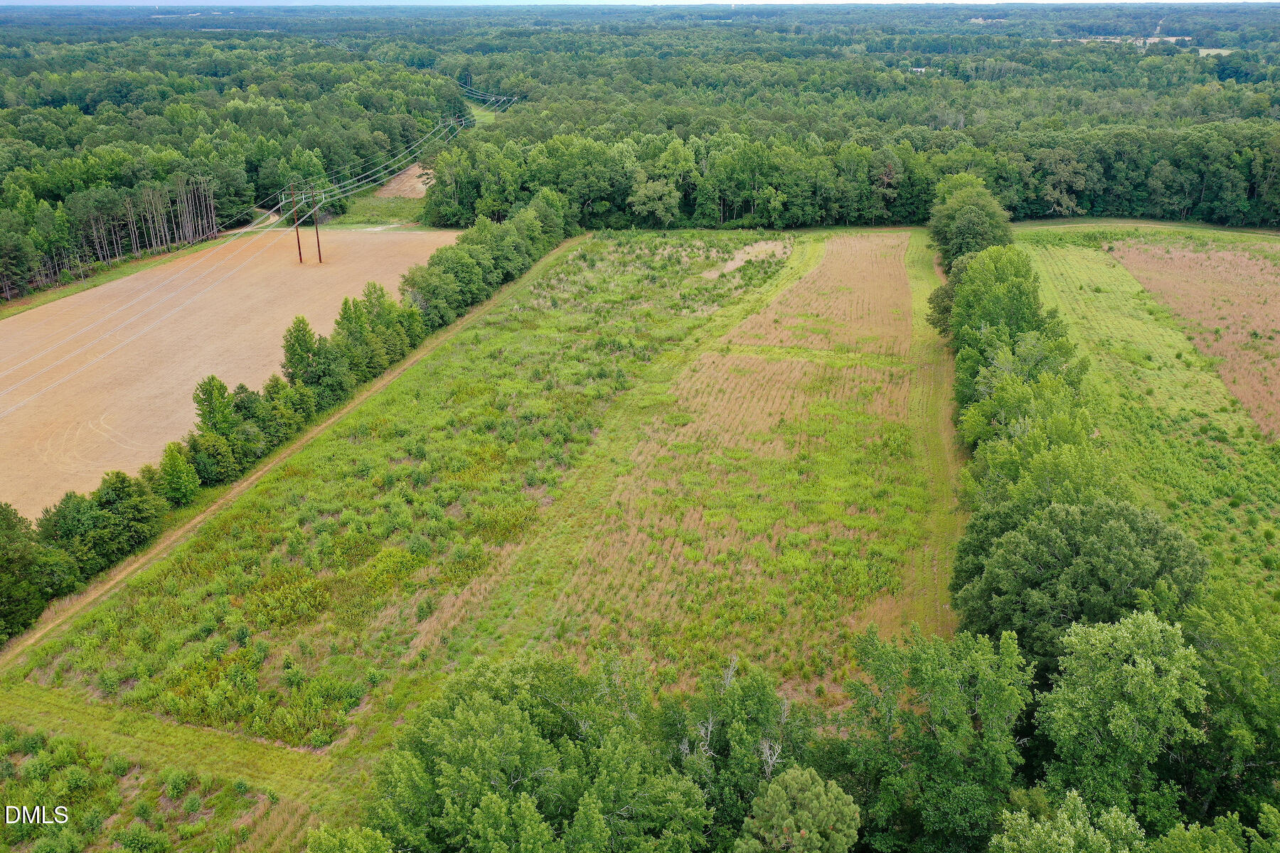 19.2-acres Bunnlevel Erwin Road Erwin, NC 28339 - Photo 27 of 34 27 Paras 19.3 Acres Bunnlevel Erwin Rd