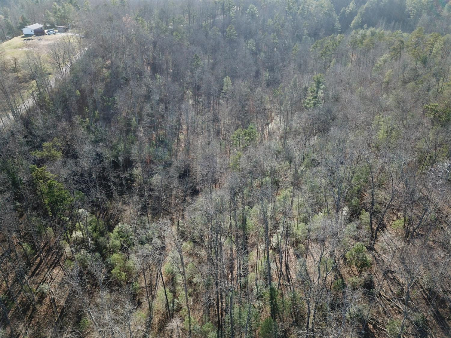 0 Hiram Branch Road Campton, KY 41301 - Photo 26 of 29 Photo 26