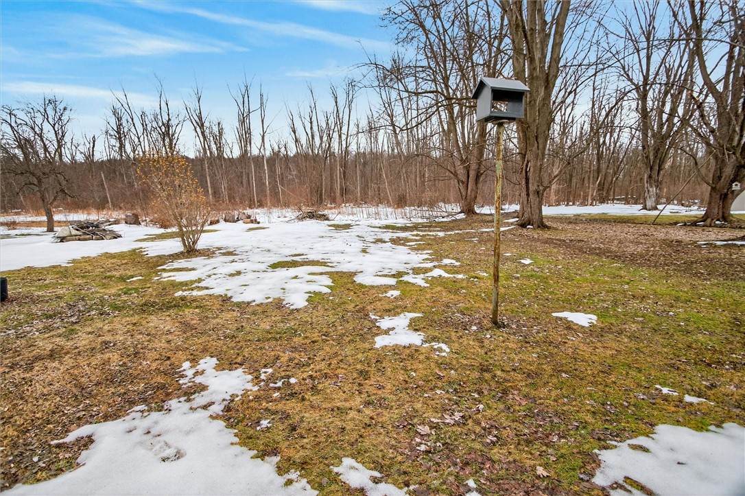 4600 Ontario Center Road Walworth, NY 14568 - Photo 9 of 48 Lots of space for kids pets and picnics