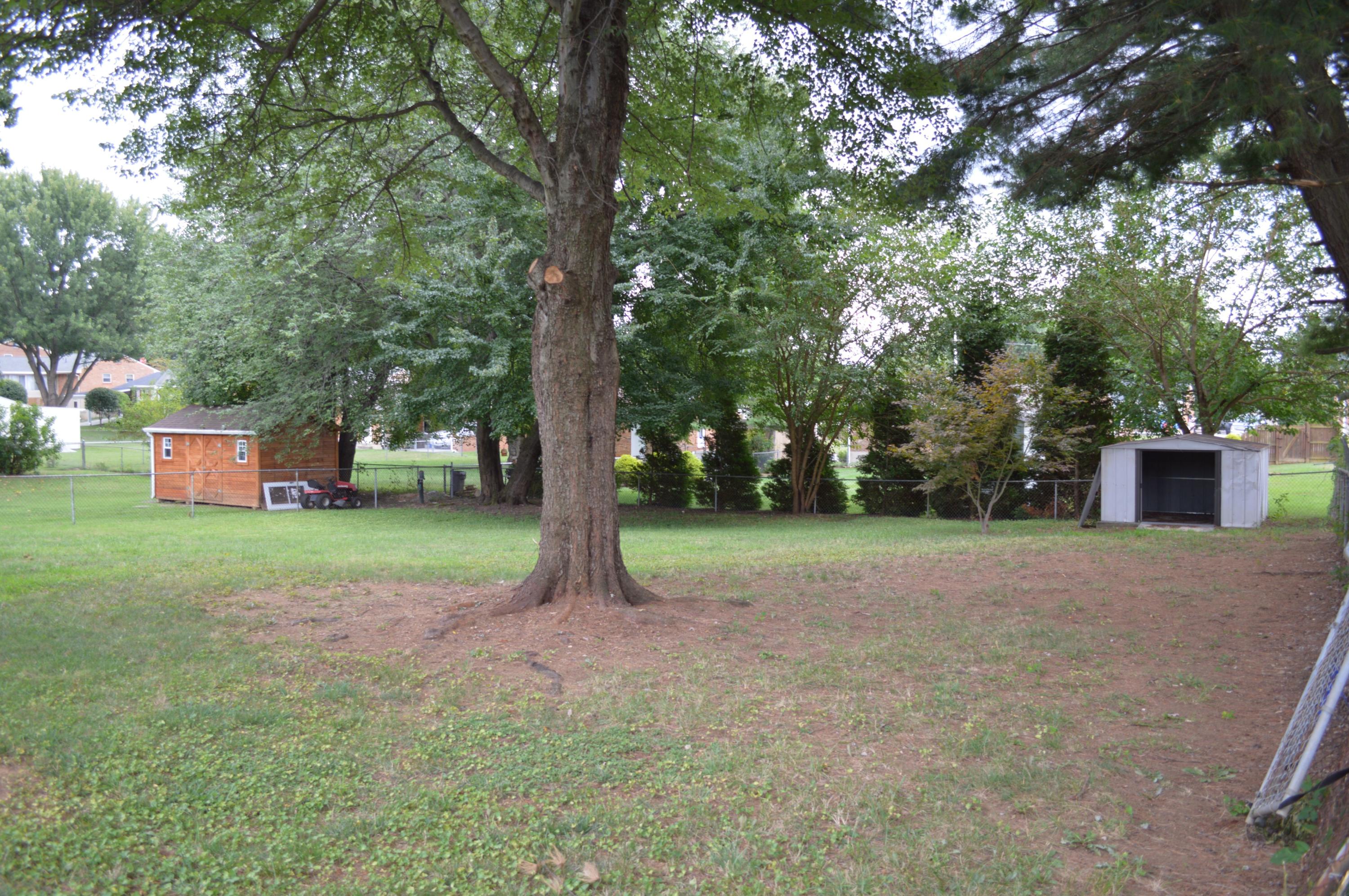520 Olney Road Vinton, VA 24179 - Photo 26 of 29 a view of a yard with a tree