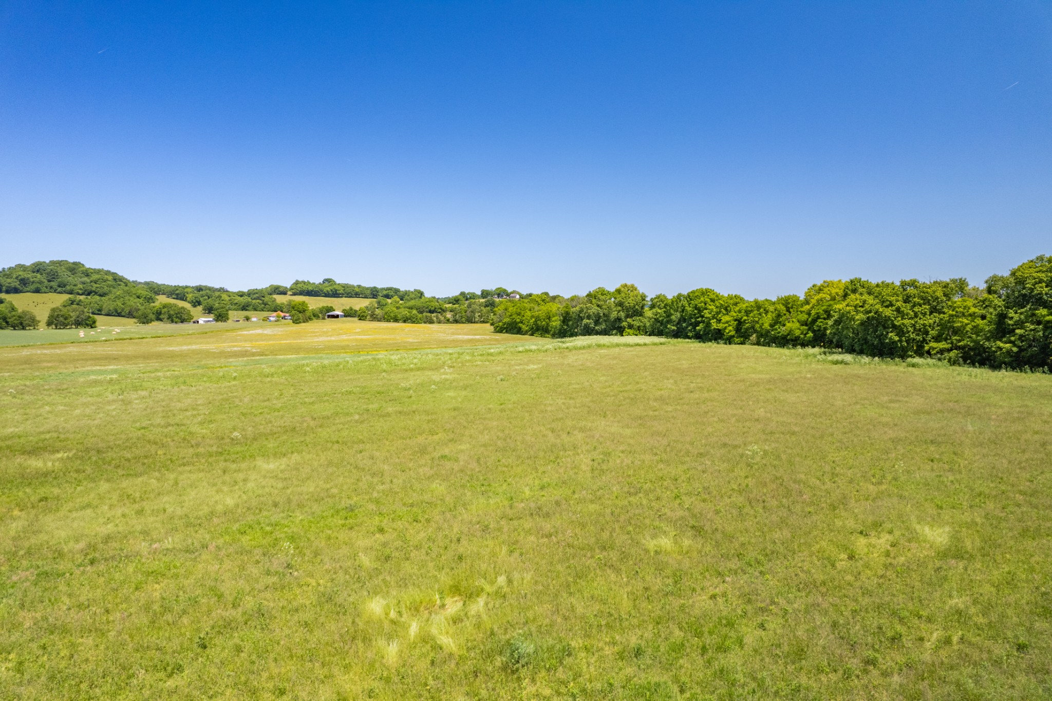 32 Hart Leonard Road Cornersville, TN 37047 - Photo 7 of 58 a view of an ocean from a lake