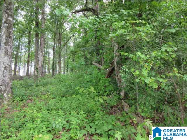 0 Timber Trail, Unit LOT 29 Sylacauga, AL 35151 - Photo 22 of 25
