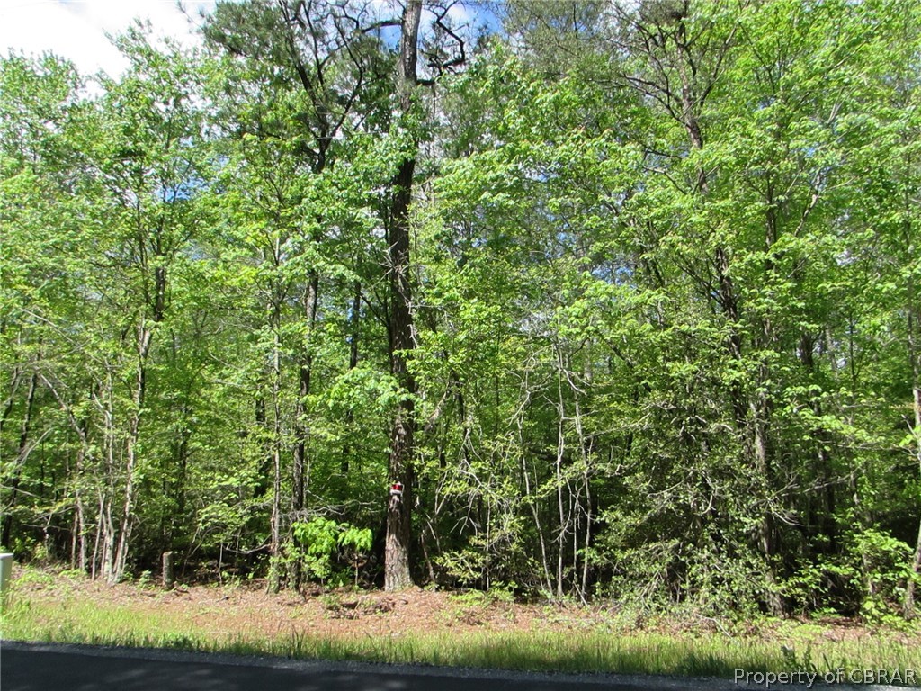 5.67-acres Indian Road Gloucester, VA 23061 - Photo 4 of 6