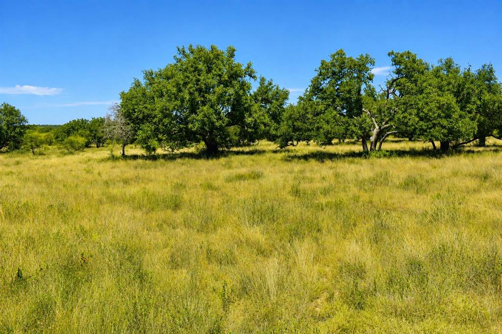 129 Big Buck Run Road Fort McKavett, TX 76841 - Photo 19 of 21 Gallery Image 19