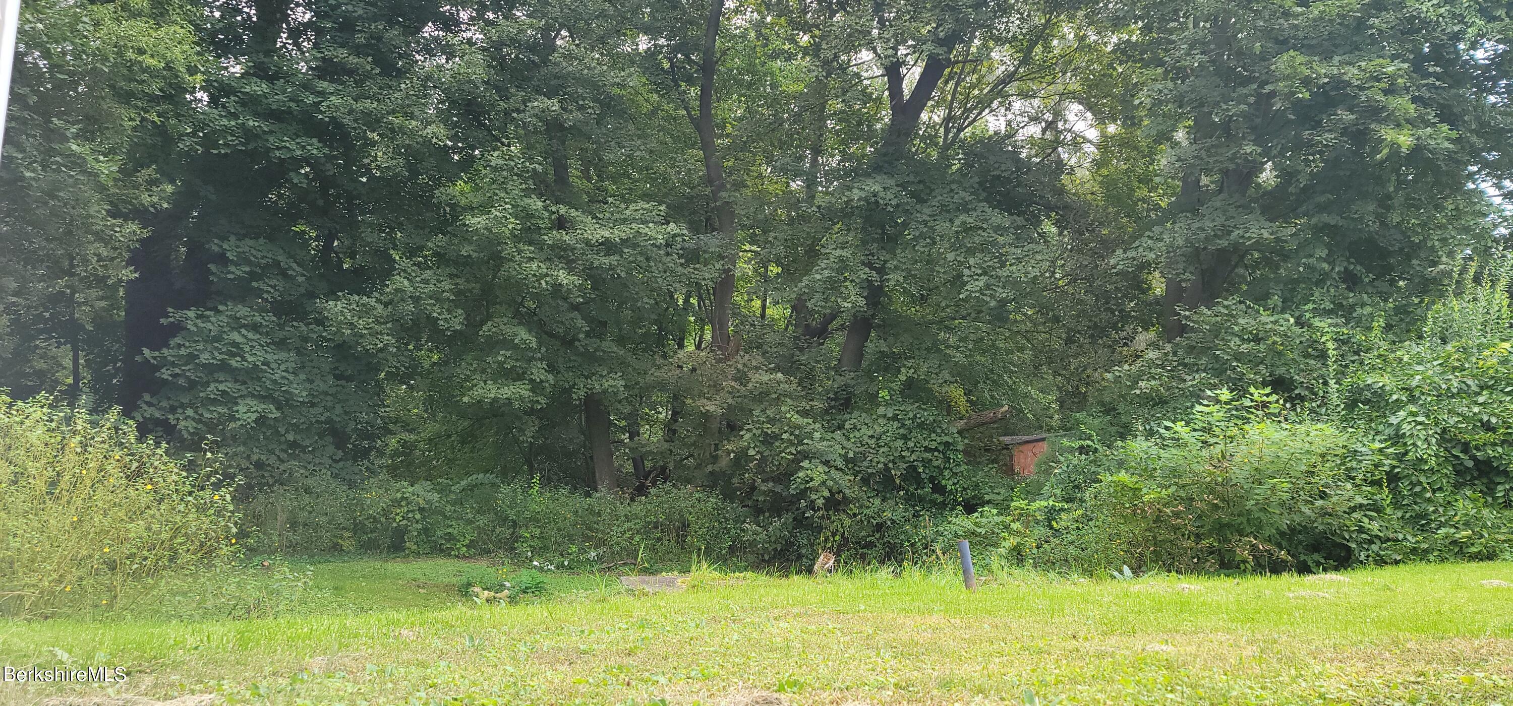 18 Grove Avenue Adams, MA 01220 - Photo 8 of 10 a view of a yard with a trees