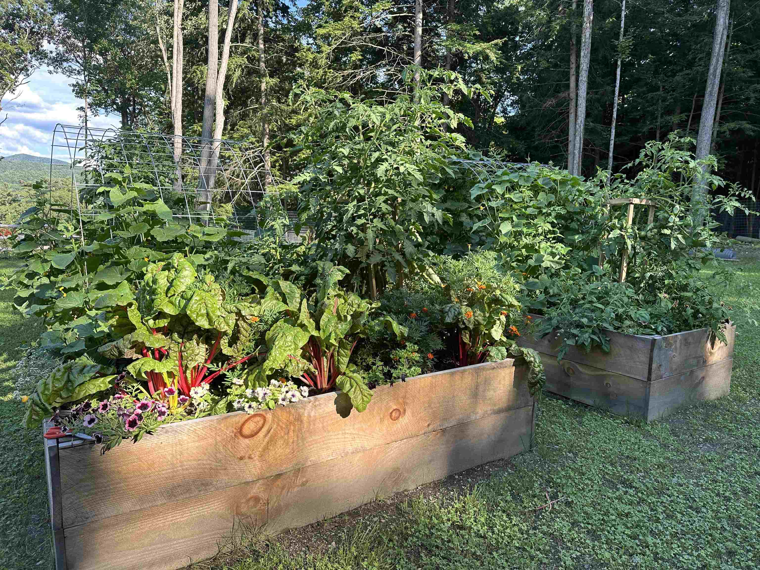 2243 West Lake Road Poultney, VT 05774 - Photo 47 of 60