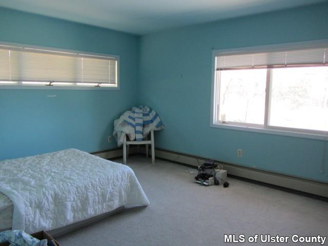Heiden Road Monticello, NY 12701 - Photo 6 of 15 a bedroom with a bed and a window