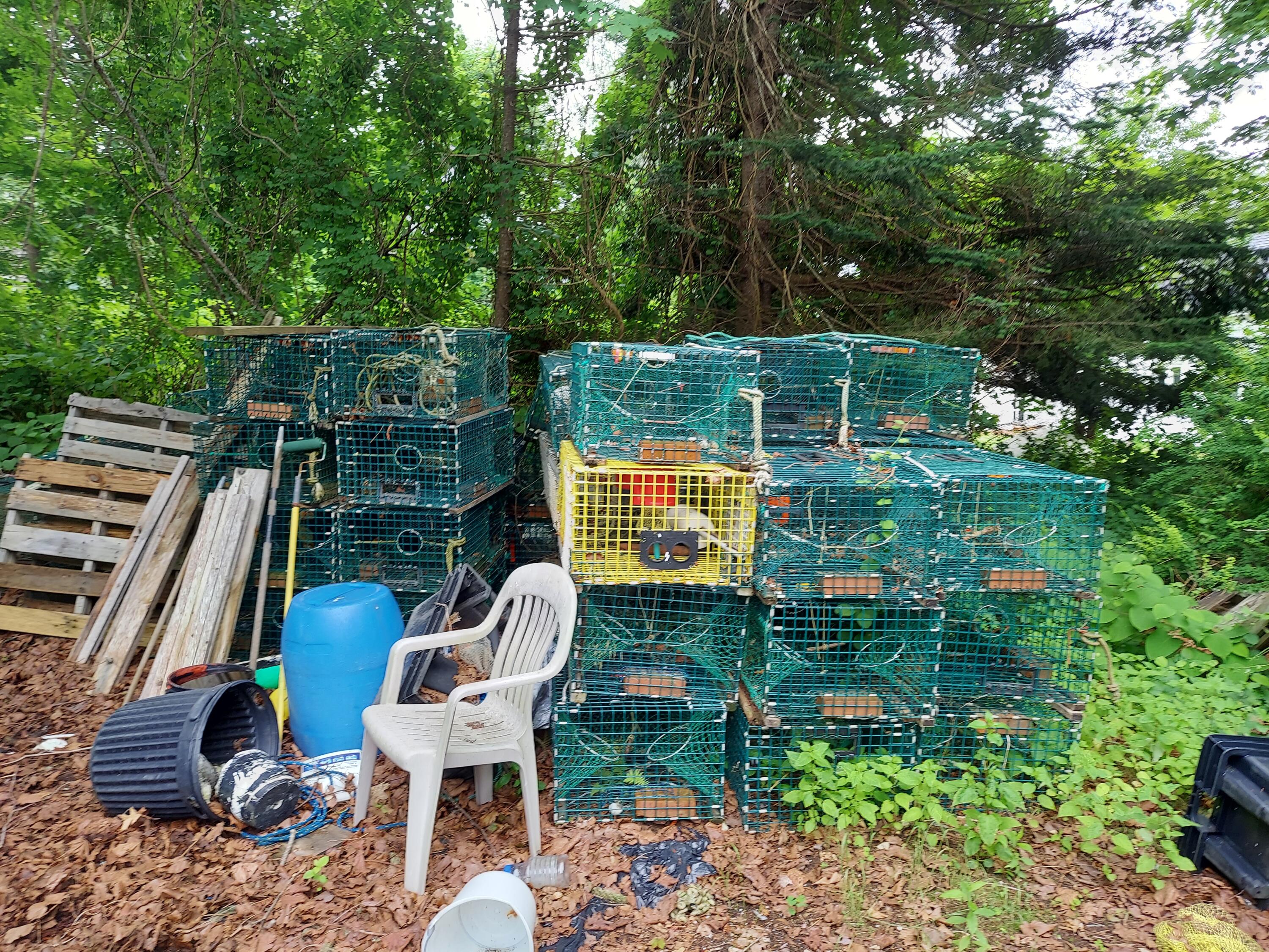 4 Bennetts Cove Road Chebeague Island, ME 04017 - Photo 7 of 8 TBtraps