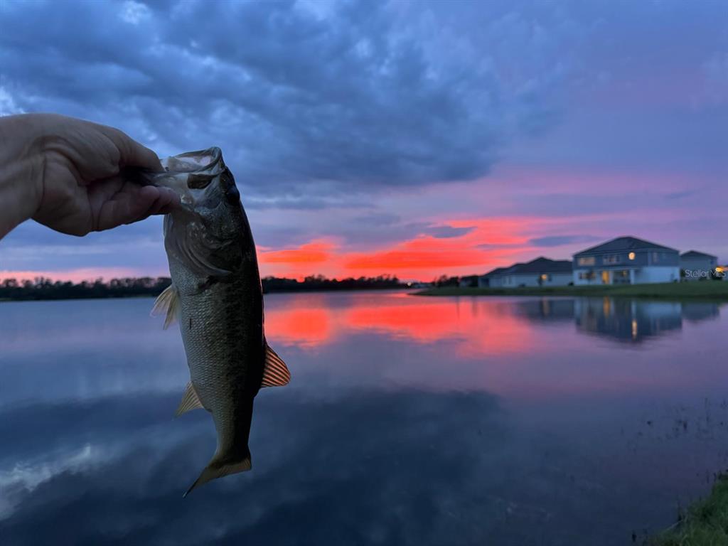 3049 Ella Way St. Cloud, FL 34771 - Photo 3 of 18