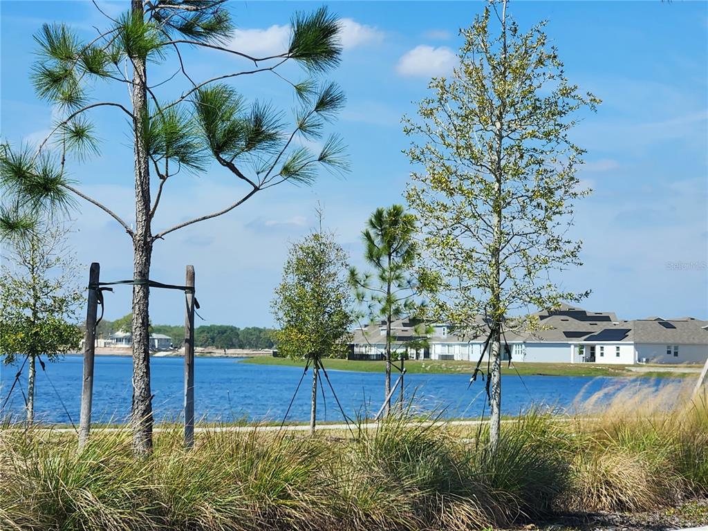 3049 Ella Way St. Cloud, FL 34771 - Photo 6 of 18