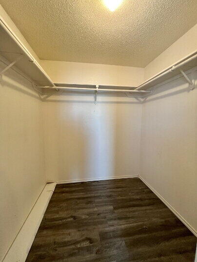 5845 7th Street, Unit B Lubbock, TX 79416 - Photo 5 of 11 a view of an empty walk in closet
