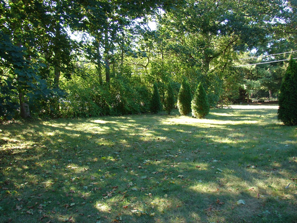 323 Bay Road Belchertown, MA 01007 - Photo 6 of 30 Gallery Image 6